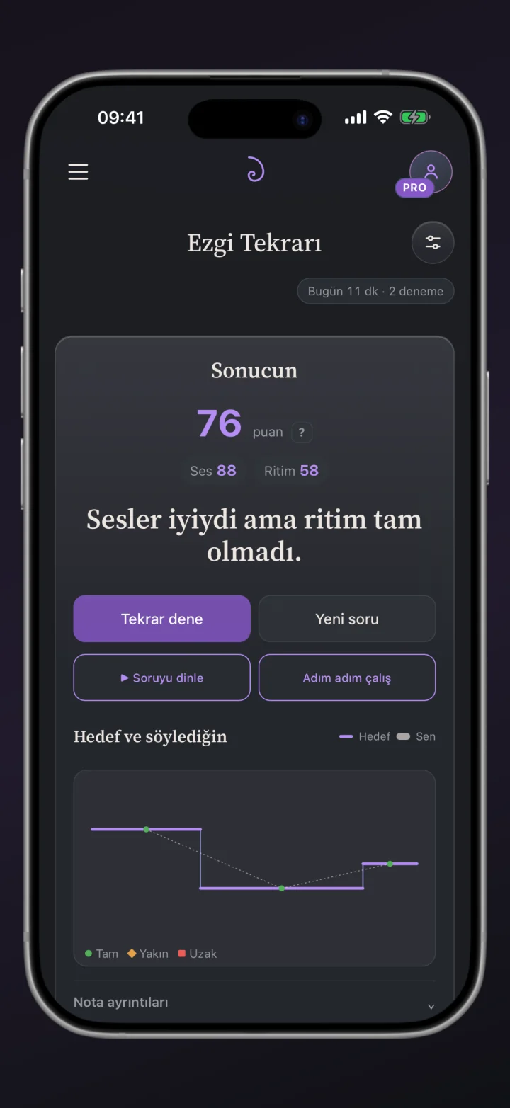 Ezgi Tekrarı sonucu: ses ve ritim değerlendirmesi, hedef ve söyleyişin karşılaştırması.